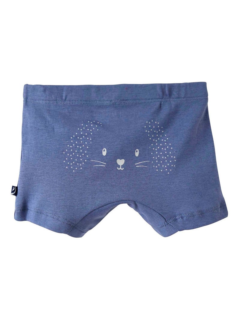 LOT DE 2 BOXERS CHRISTOPHE Blanc Bleu - Kiabi