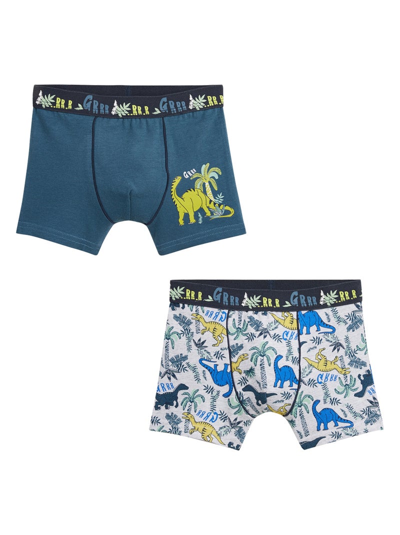 Lot de 2 boxers garçon Brontonsaure Multicolore - Kiabi