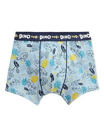 Lot de 2 boxers garçon Dino