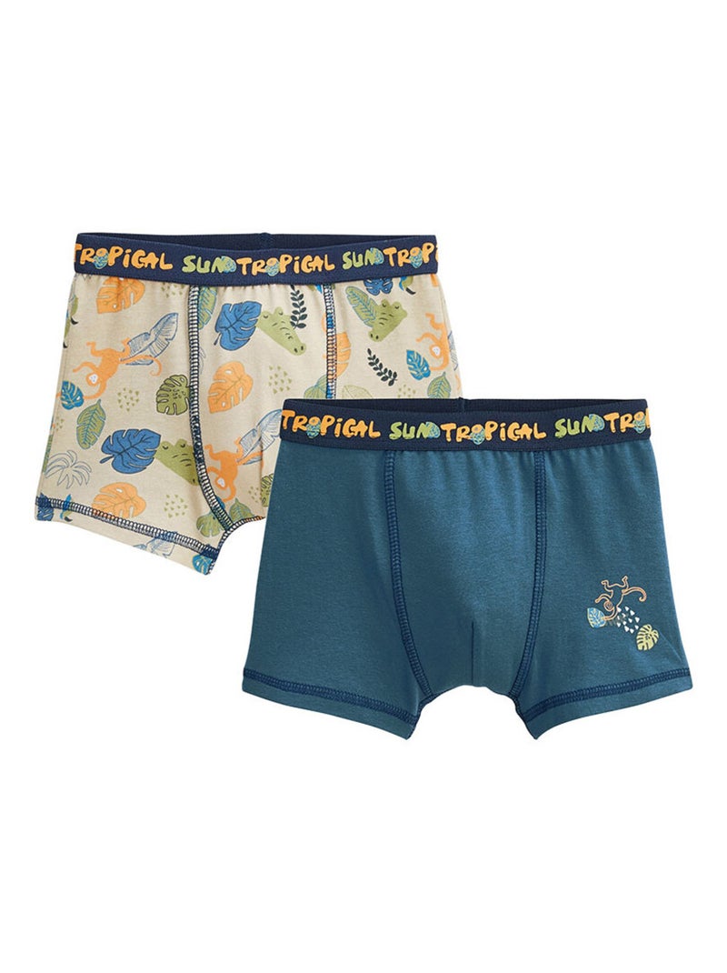 Lot de 2 boxers garçon Monkey Bleu - Kiabi