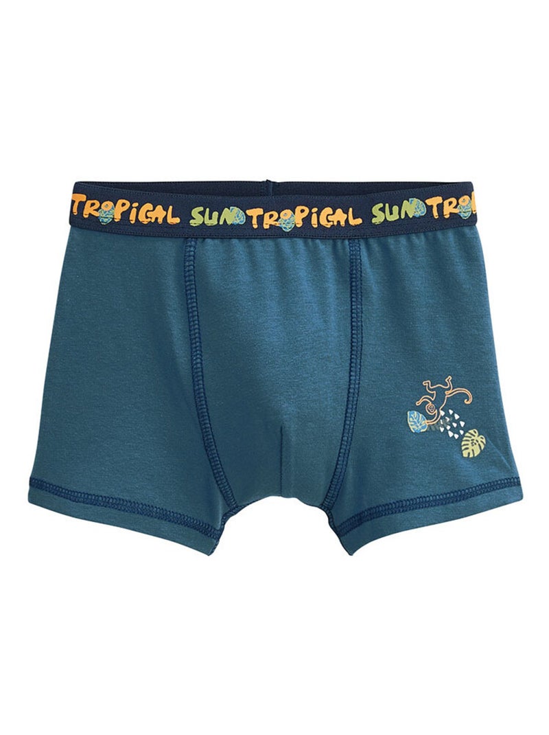 Lot de 2 boxers garçon Monkey Bleu - Kiabi