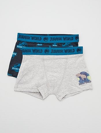 Lot de 2 boxers 'Jurassic World'