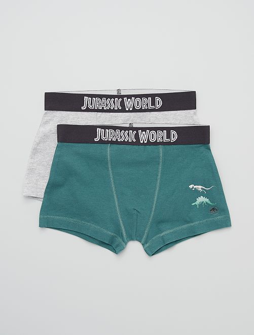 Lot de 2 boxers 'Jurassic World'                             gris/vert 
