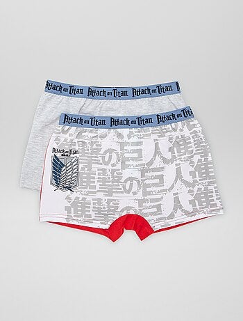 Lot de 2 boxers 'L'attaque des titans'