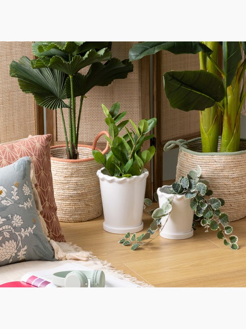 Lot de 2 cache-pots WILD - Kiabi