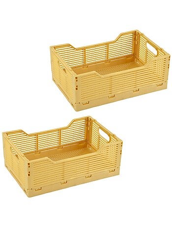 Lot de 2 cagettes pliables petit format FOLDY
