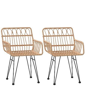 Lot de 2 chaises de jardin avec accoudoirs