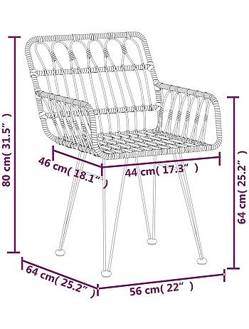 Lot de 2 chaises de jardin avec accoudoirs