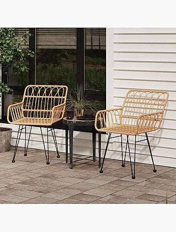 Lot de 2 chaises de jardin avec accoudoirs