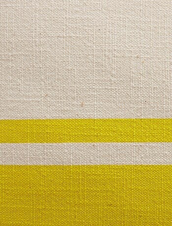 Lot de 2 coussins déhoussables bicolores SUMMER