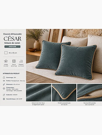 Lot de 2 Coussins Velours de Coton – Déhoussables avec zip – CÉSAR