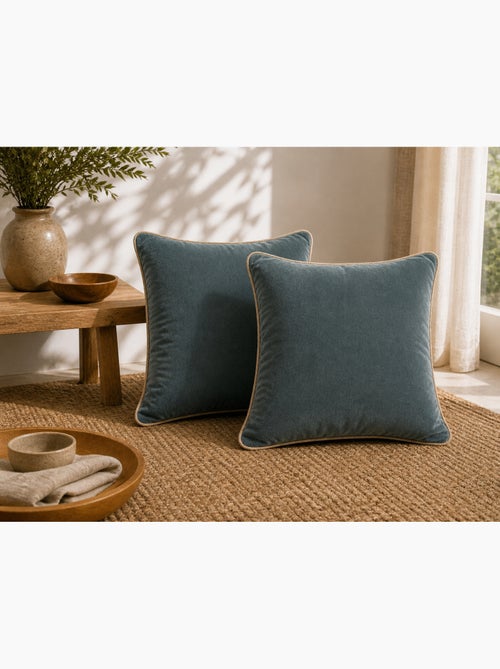 Lot de 2 Coussins Velours de Coton – Déhoussables avec zip – CÉSAR - Kiabi