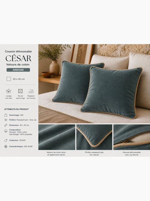 Lot de 2 Coussins Velours de Coton – Déhoussables avec zip – CÉSAR - Kiabi