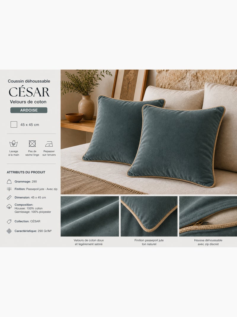 Lot de 2 Coussins Velours de Coton – Déhoussables avec zip – CÉSAR Ardoise - Kiabi
