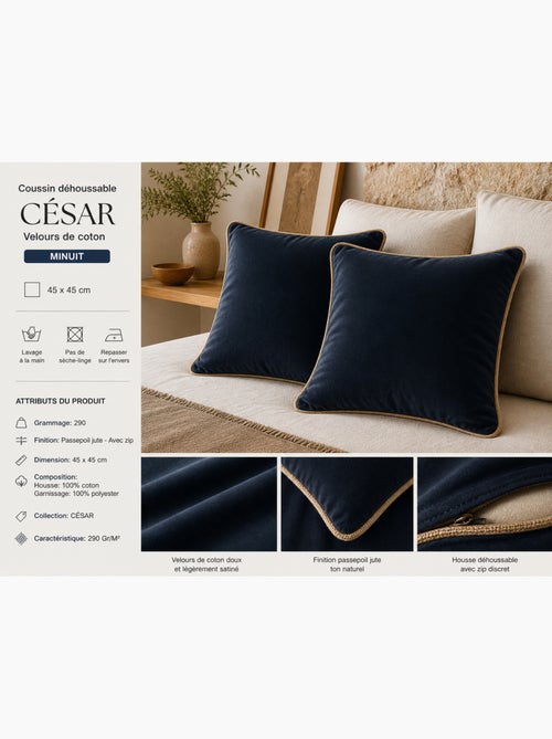 Lot de 2 Coussins Velours de Coton – Déhoussables avec zip – CÉSAR - Kiabi