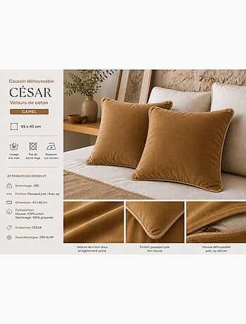 Lot de 2 Coussins Velours de Coton – Déhoussables avec zip – CÉSAR