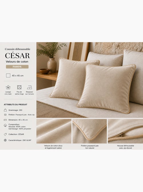 Lot de 2 Coussins Velours de Coton – Déhoussables avec zip – CÉSAR - Kiabi
