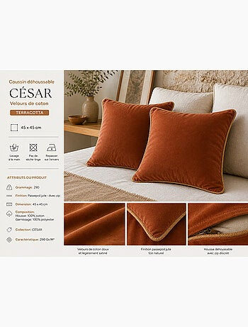 Lot de 2 Coussins Velours de Coton – Déhoussables avec zip – CÉSAR