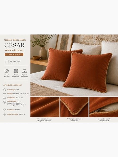 Lot de 2 Coussins Velours de Coton – Déhoussables avec zip – CÉSAR - Kiabi