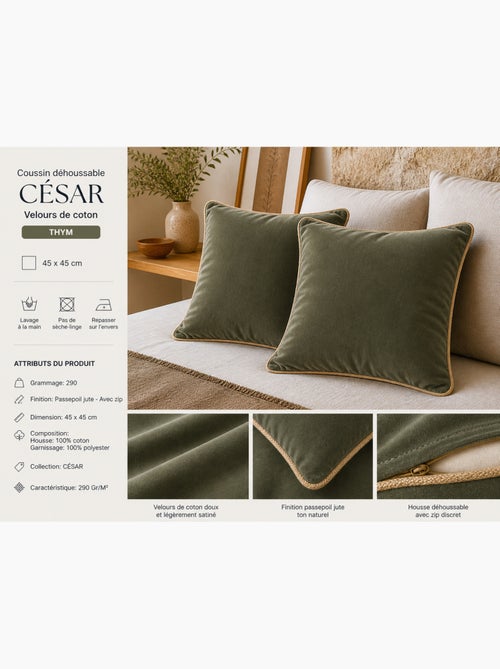 Lot de 2 Coussins Velours de Coton – Déhoussables avec zip – CÉSAR - Kiabi