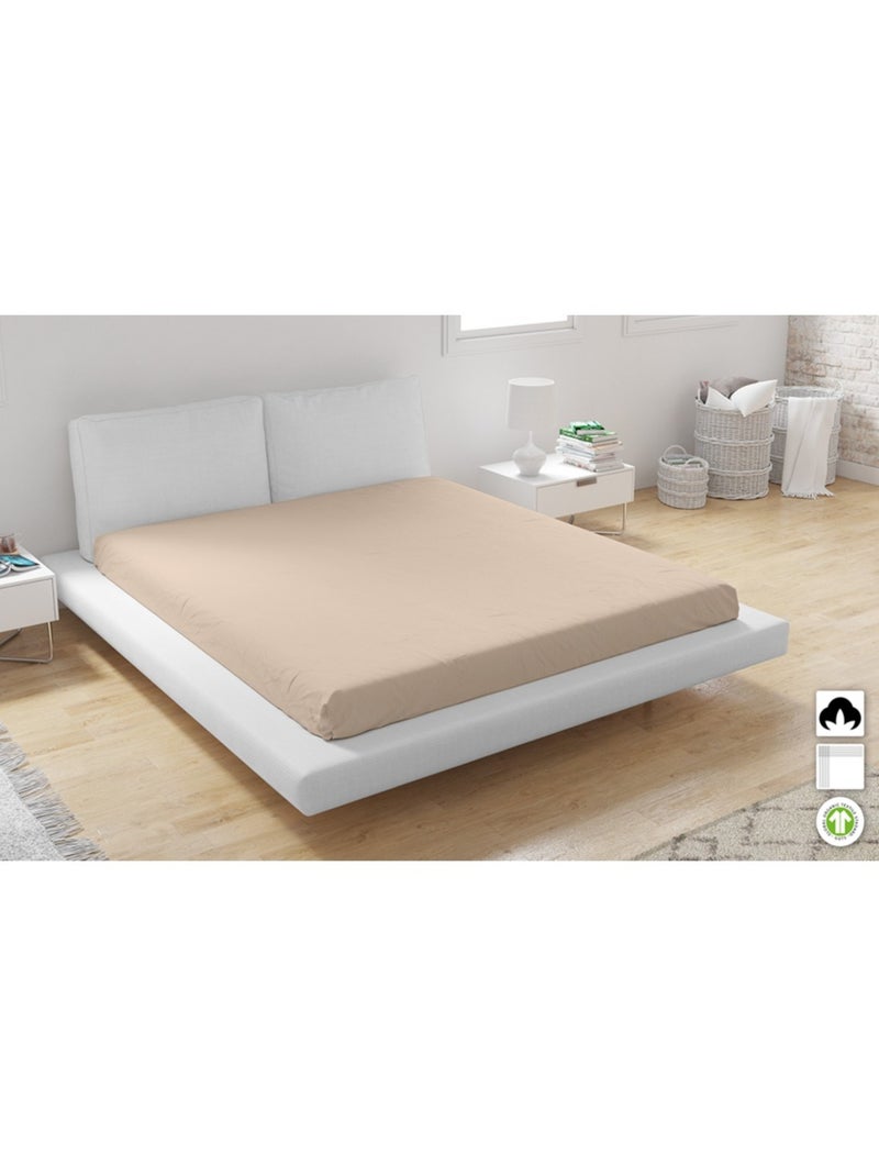 Lot de 2 Drap Housse coton Biologique Beige - Kiabi