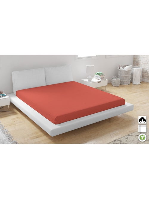 Lot de 2 Drap Housse coton Biologique - Kiabi