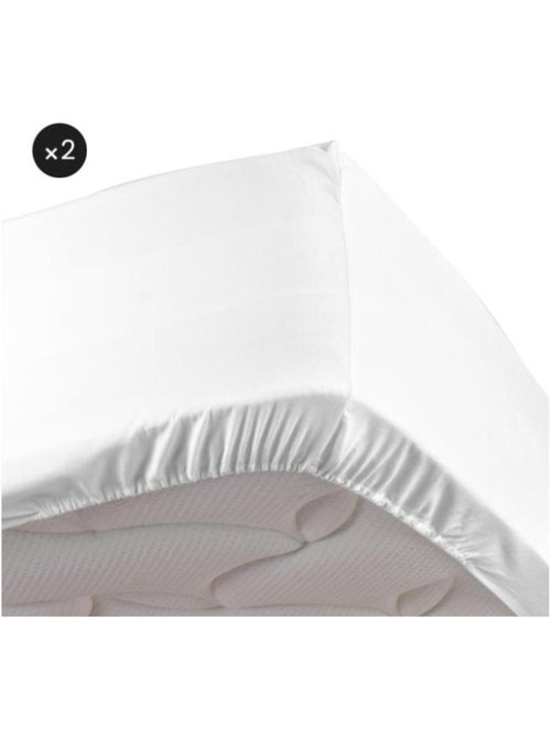 Lot de 2 Drap housse percale de coton 78fils ultra doux - Kiabi