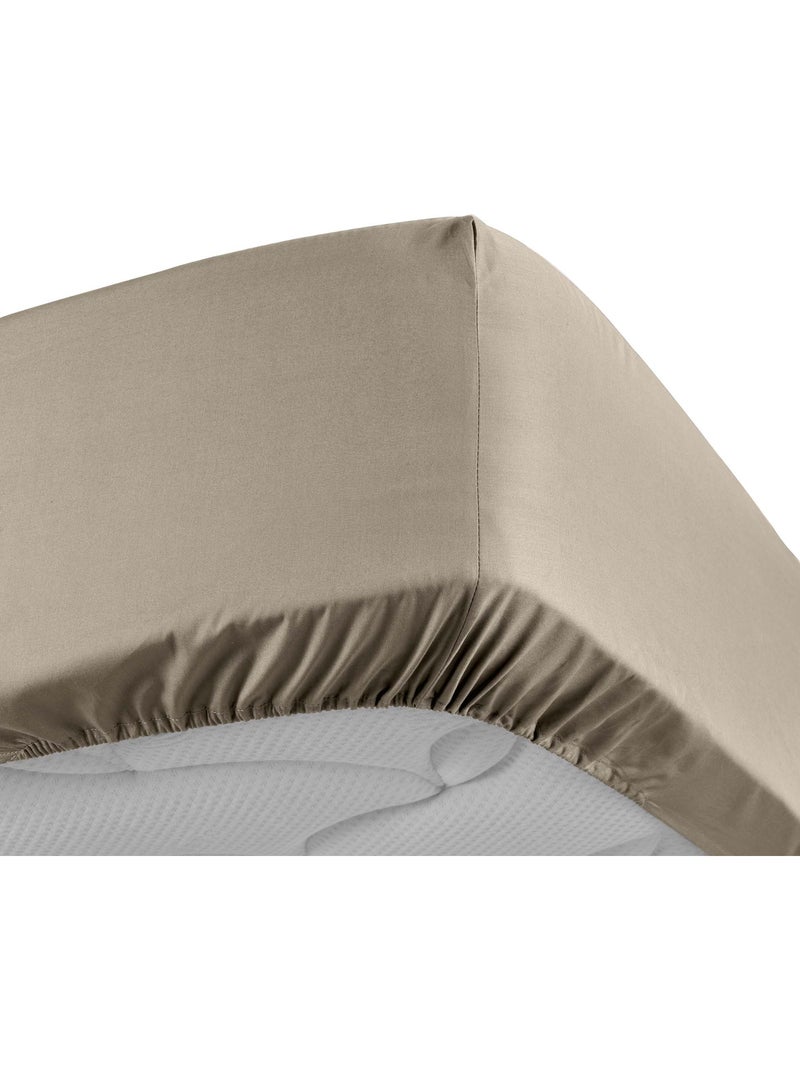 Lot de 2 Drap housse percale de coton 78fils ultra doux Sable - Kiabi