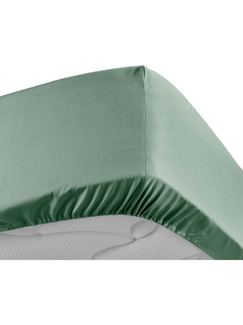 Lot de 2 Drap housse percale de coton 78fils ultra doux Vert tilleul - Kiabi