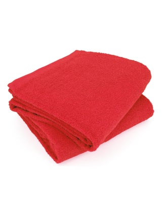 Lot de 2 draps bain 90x150 ALPHA