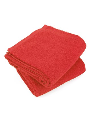 Lot de 2 draps douche 70x130 ALPHA