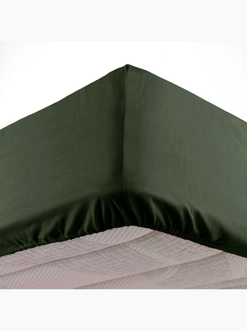 Lot de 2 Draps housse bonnet 30 cm 2 personnes microfibre Oscar Kaki - Kiabi