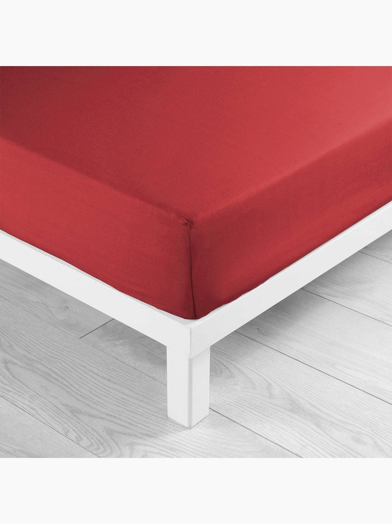 Lot de 2 Draps housse bonnet 30 cm 2 personnes microfibre Oscar Rouge - Kiabi