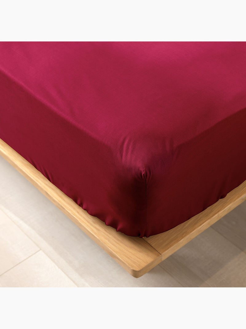 Lot de 2 draps housse King size en coton bio Bordeaux - Kiabi