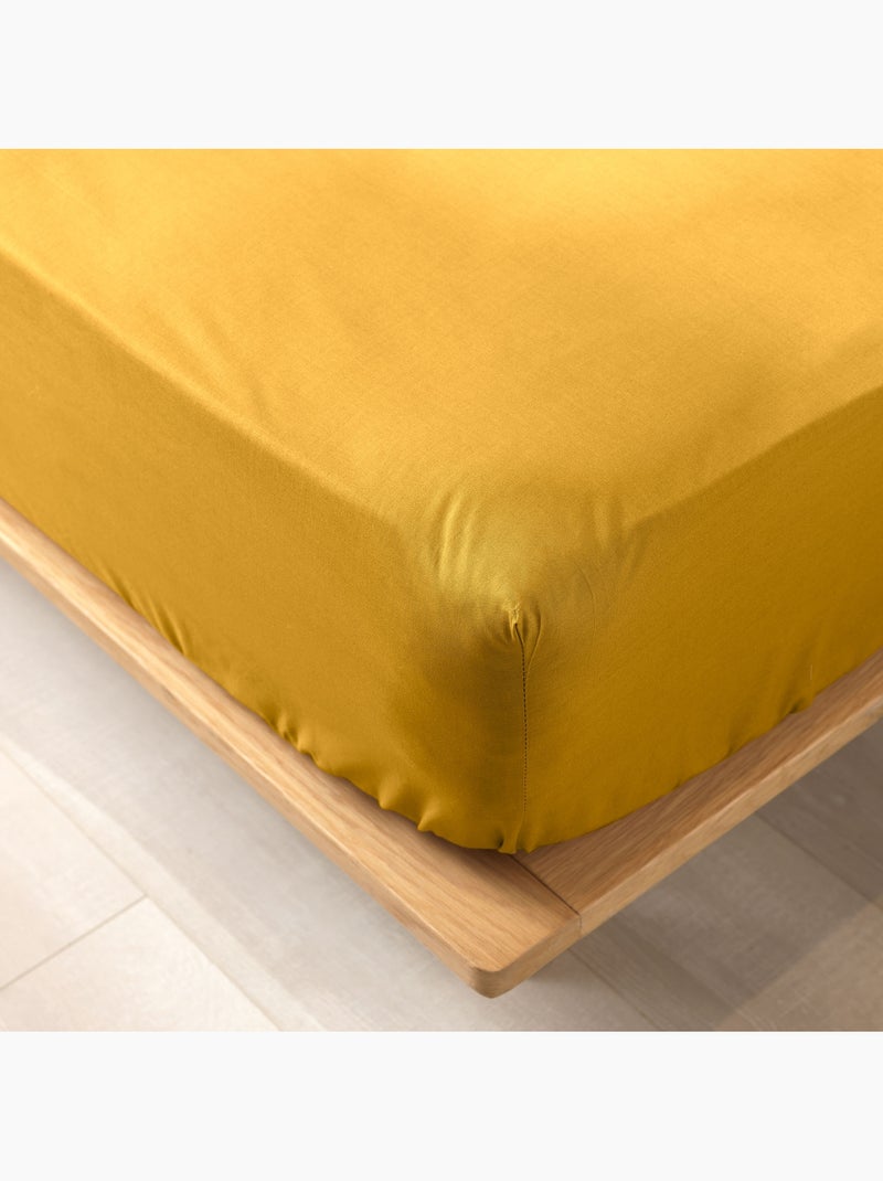 Lot de 2 draps housse King size en coton bio Ocre - Kiabi