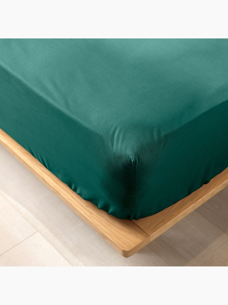 Lot de 2 draps housse King size en coton bio Vert émeraude - Kiabi