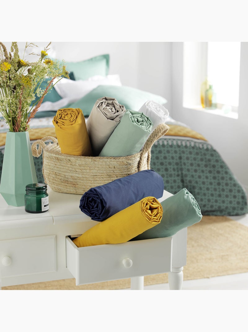 Lot de 2 draps housse King size en coton bio Vert émeraude - Kiabi