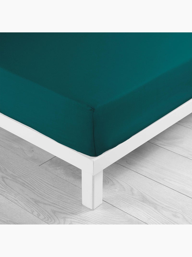 Lot de 2 draps Housse Queen size Coton 57 fils Bleu pétrole - Kiabi