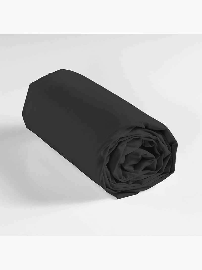Lot de 2 draps Housse Queen size Coton 57 fils Noir - Kiabi