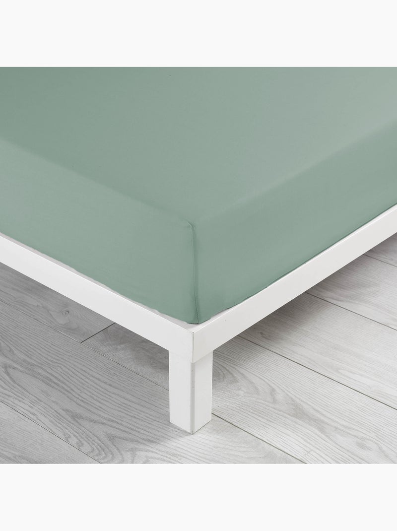 Lot de 2 draps Housse Queen size Coton 57 fils Vert Sauge - Kiabi