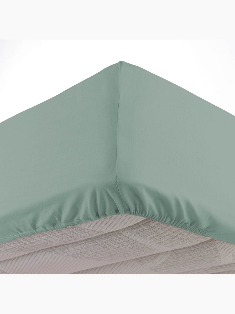 Lot de 2 draps Housse Queen size Coton 57 fils Vert Sauge - Kiabi