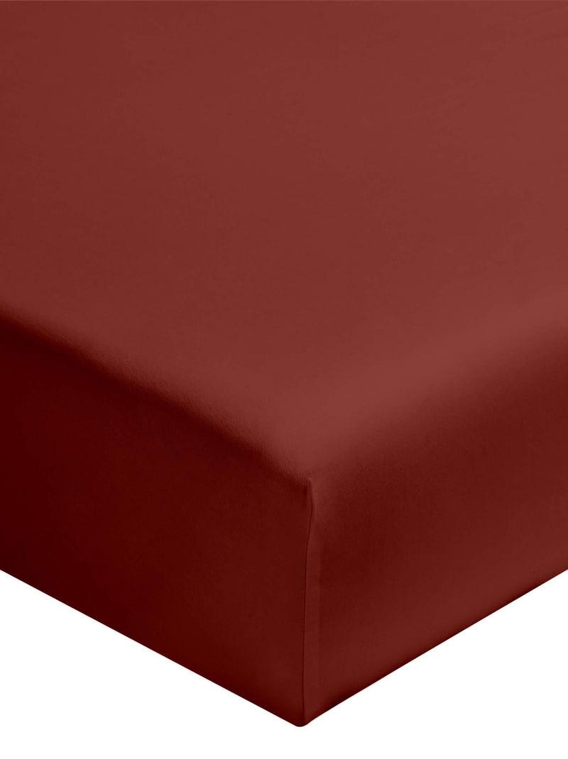 Lot de 2 draps housses Terracotta - Kiabi