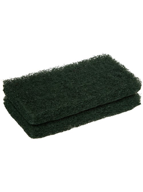 Lot de 2 éponges nettoyantes pour bois exotique - Kiabi