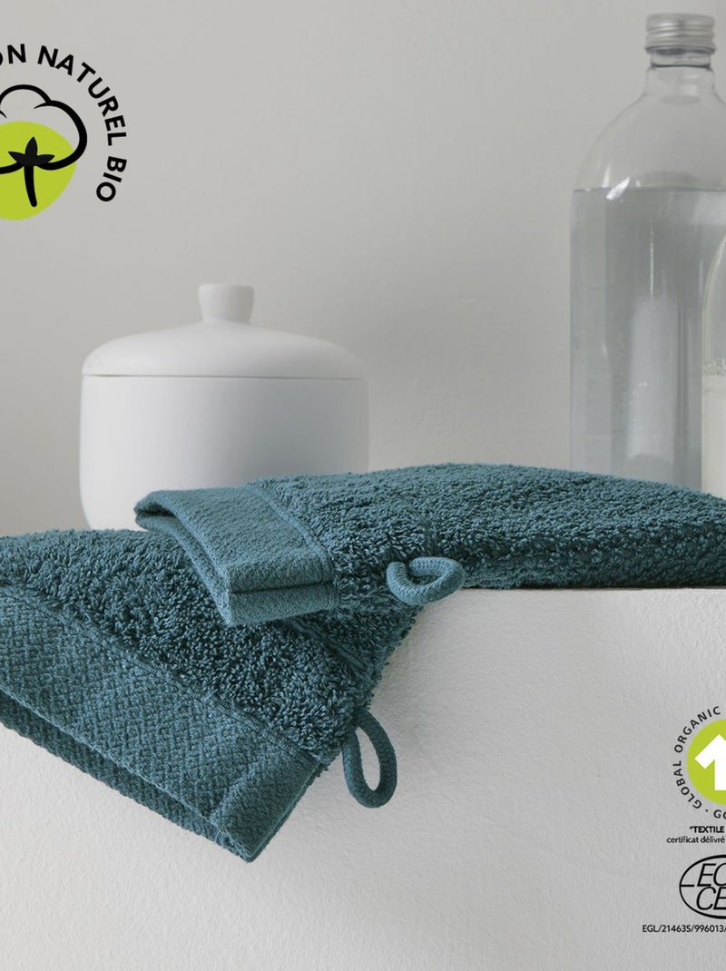 Lot de 2 gants de toilette - 100% coton BIO Bleu - Kiabi