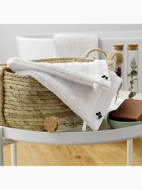 Lot de 2 gants de toilette - Coton 600 grammes - Garance - Kiabi
