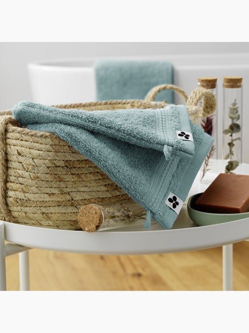 Lot de 2 gants de toilette - Coton 600 grammes - Garance - Kiabi