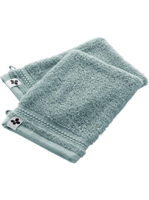 Lot de 2 gants de toilette - Coton 600 grammes - Garance - Kiabi