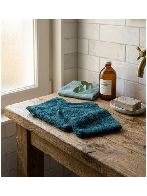 Lot de 2 gants de toilette Collection Elegante - Kiabi