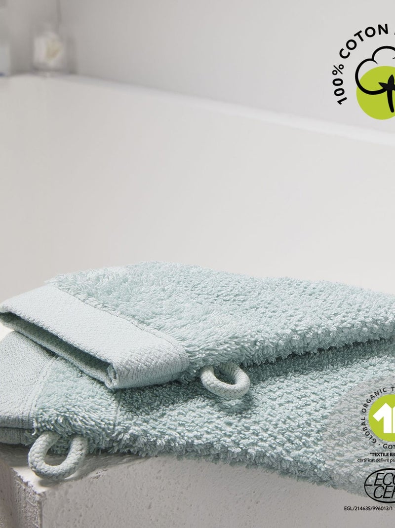 Lot de 2 gants de toilette en coton BIO Vert - Kiabi