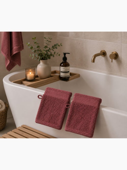 Lot de 2 gants de toilette Lilas - Kiabi